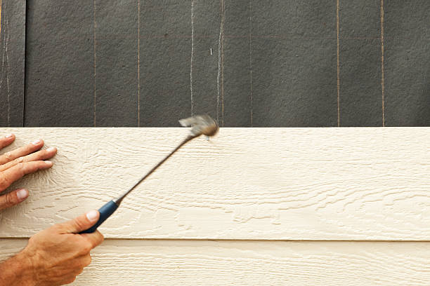 Best Stone Veneer Siding  in Carter Lake, IA
